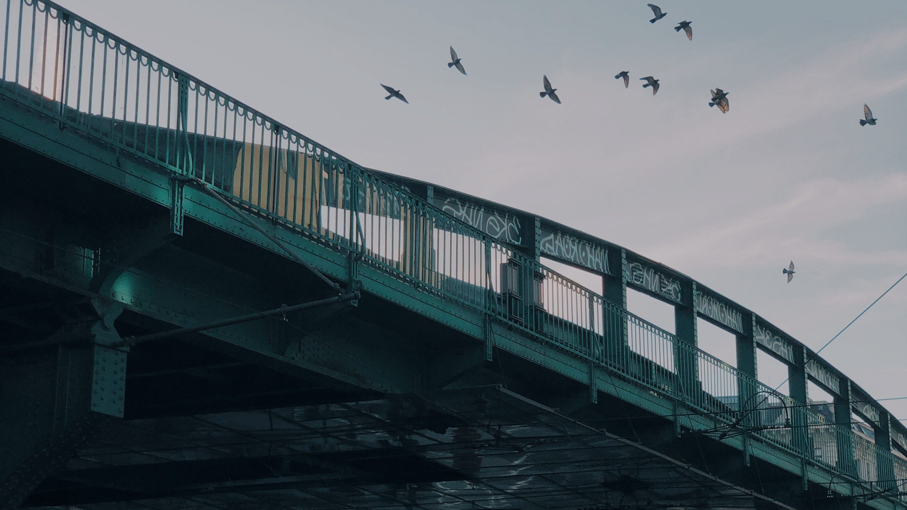 Terra Kaffe | Green bridge with birds flying over top