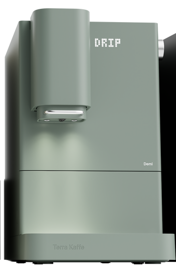 TK demi forest lights on