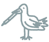 Terra Kaffe | Illustration of a bird with a pen in its beak