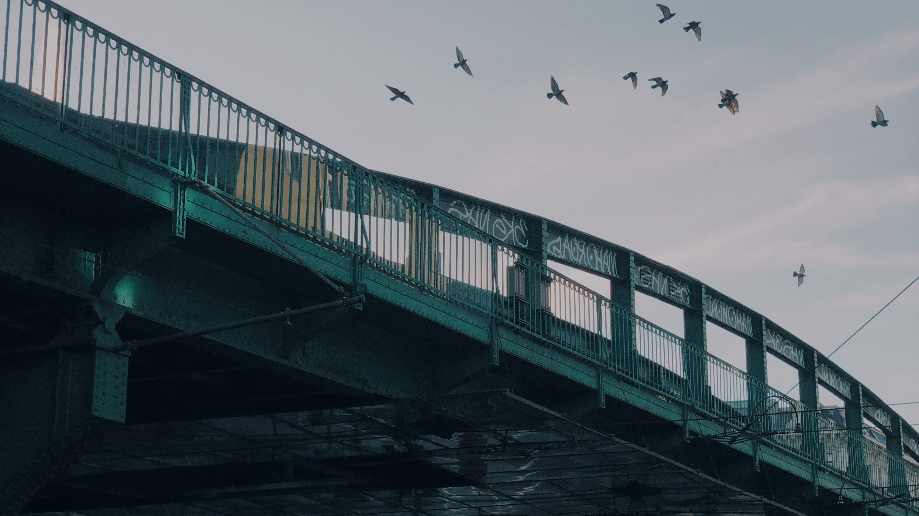  Terra Kaffe | Green bridge with birds flying over top